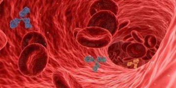 Мікропластик у крові пов’язаний з інсультом, серцевим нападом і ранньою смертю, – дослідження