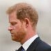 Репутація Гаррі у небезпеці: стриптезерка погрожує опублікувати “голі” фото сина Чарльза III