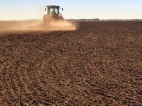 В Украине в 12 областях посеяли 68,3 тыс. га яровых зерновых и зернобобовых под урожай-2024