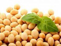 “Эпицентр Агро” в 2024 г. возобновит работу семенного завода в Хмельницкой области