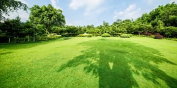 Не робіть цих помилок: експертка назвала найгірше, що можна зробити із газоном навесні