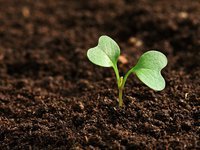 Украина может использовать в хоздеятельности на 26% меньше земель по сравнению с началом полномасштабного вторжения