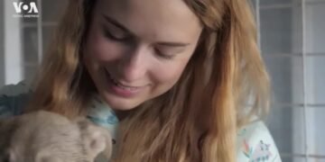 Домашние животные в Украине страдают от войны