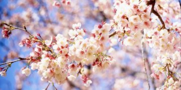 Прогноз погоди в Україні на 10 квітня: про яку небезпеку попереджають синоптики?