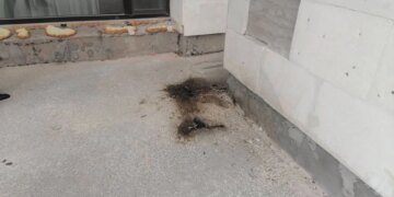 Неизвестные атаковали здание правительства Владимирской области РФ. ВИДЕО