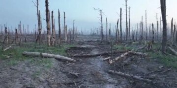 За сутки на фронте зафиксировано 93 боестолкновения: сводка Генштаба