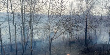 В российском Братске сгорели 30 зданий из-за обрыва и перехлёста проводов