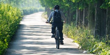 Жир на животі розтане: три низькоінтенсивні вправи, які хвалить експерт з бодібілдингу