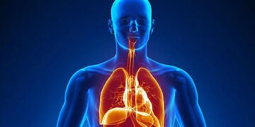 Без яких органів людина може повноцінно жити: ця інформація вас точно здивує