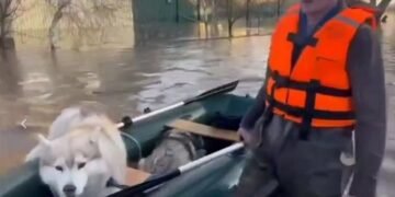 “За що мій чоловік загинув?” – удова мобіка накинулася на мера із затопленого Орська