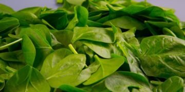 Названо овоч номер один, який регулює кров’яний тиск