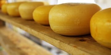 Украинские сыроделы проигрывают внутренний рынок импортной продукции и не могут нарастить экспорт – аналитики