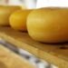 Украинские сыроделы проигрывают внутренний рынок импортной продукции и не могут нарастить экспорт – аналитики