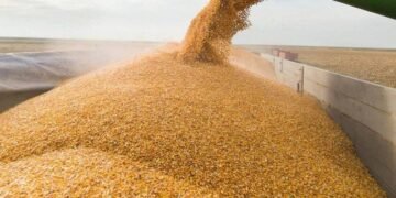 Польша не будет запрещать транзит украинской агропродукции, эмбарго на импорт зерна сохранится