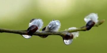 Майже по-літньому тепло, але будуть дощі та грози: прогноз погоди на 6 квітня