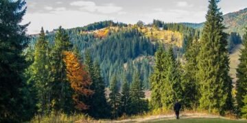 Скільки коштує відпочити у Карпатах: ціни у готелях зараз