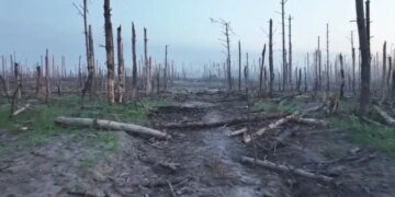 Противник не оставляет попыток выбить ВСУ с позиций на нескольких направлениях: сводка Генштаба