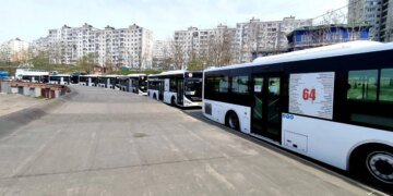 В российском Владивостоке водители автобусов устроили забастовку
