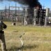 ЧП в России: в Новороссийске внезапно вспыхнула подстанция. ВИДЕО