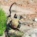 У оккупантов на фронте появился новый род войск — “боевые лучники”. ВИДЕО