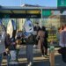 Российские студенты в костюмах селёдок устроили акцию во Владивостоке. ВИДЕО