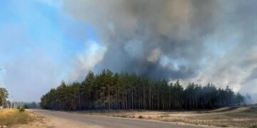 “Пекельний вогонь”: на Харківщині продовжують вирувати масштабні лісові пожежі