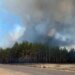 “Пекельний вогонь”: на Харківщині продовжують вирувати масштабні лісові пожежі