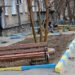 “Це нонсенс”: у Росії запанікували через синьо-жовтий бордюр і звинуватили в “диверсії” працівника з Азії
