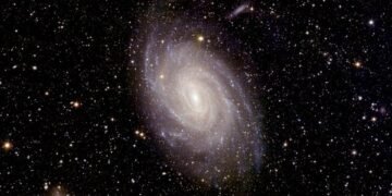 Аппарат ESA Евклид направил на Землю пять важных фотографий космоса
