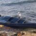 Українські морські дрони навчилися збивати літаки супротивника: у Z-пабликах вже істерика