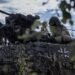 Поставили ЗСУ у нерівні умови з окупантами: шокуюча заява про військову (не)допомогу Німеччини