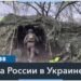 Самолет ВСУ впервые ударил по цели в РФ