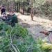 Наступление из Беларуси: названо три признака подготовки противника к атаке на Киев