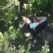 Попал в засаду, был ранен: удивительная история спасения украинского бойца с пятью пулями в теле. ВИДЕО