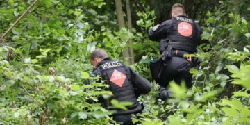 Убийство 9-летней украинки в Германии: подозреваемого поймали