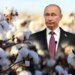 Путин начал готовить россиян к отрицательному наступлению на Харьковщине