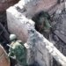 “Своих не бросаем”: пока оккупант горел, его товарищи “сделали ноги”. ВИДЕО