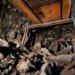 На шахті у Львівській області стався обвал породи, загинули шахтарі