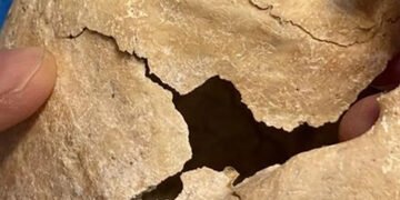 Померла в оточенні іспанських лицарів: археологи знайшли останки монахині-воїтельки
