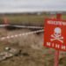 ЄС передасть Україні групу з 12 собак-саперів