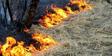 “АТЕШ” провёл диверсию возле Алёшек Херсонской области: что известно?