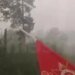 “Нулевая видимость, нечем дышать”: россияне задыхаются от лесных пожаров. ВИДЕО