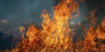 Третий день в Севастополе не стихают пожары