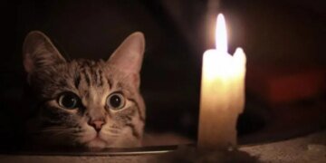 Света будет меньше вечером:  графики отключений на 17 июля