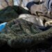 Оккупант разрыдался:  под Волчанском выжили не все. ВИДЕО