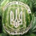 Оккупантов  потравили арбузами:  Z-каналы жалуются на злой  Мариуполь