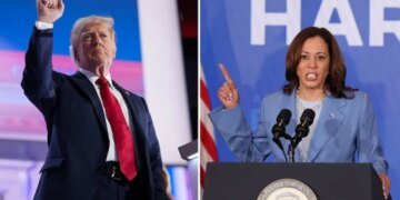 Между Трампом и Харрис обнаружена интересная связь