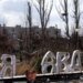В Авдеевке обнаружена холера, по городу ходят люди в спецкостюмах