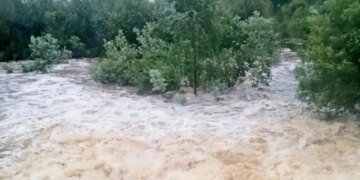 «Урожай смыло, вода дошла до второго этажа»: в России Урал и Поволжье страдают от ливней