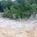 «Урожай смыло, вода дошла до второго этажа»: в России Урал и Поволжье страдают от ливней